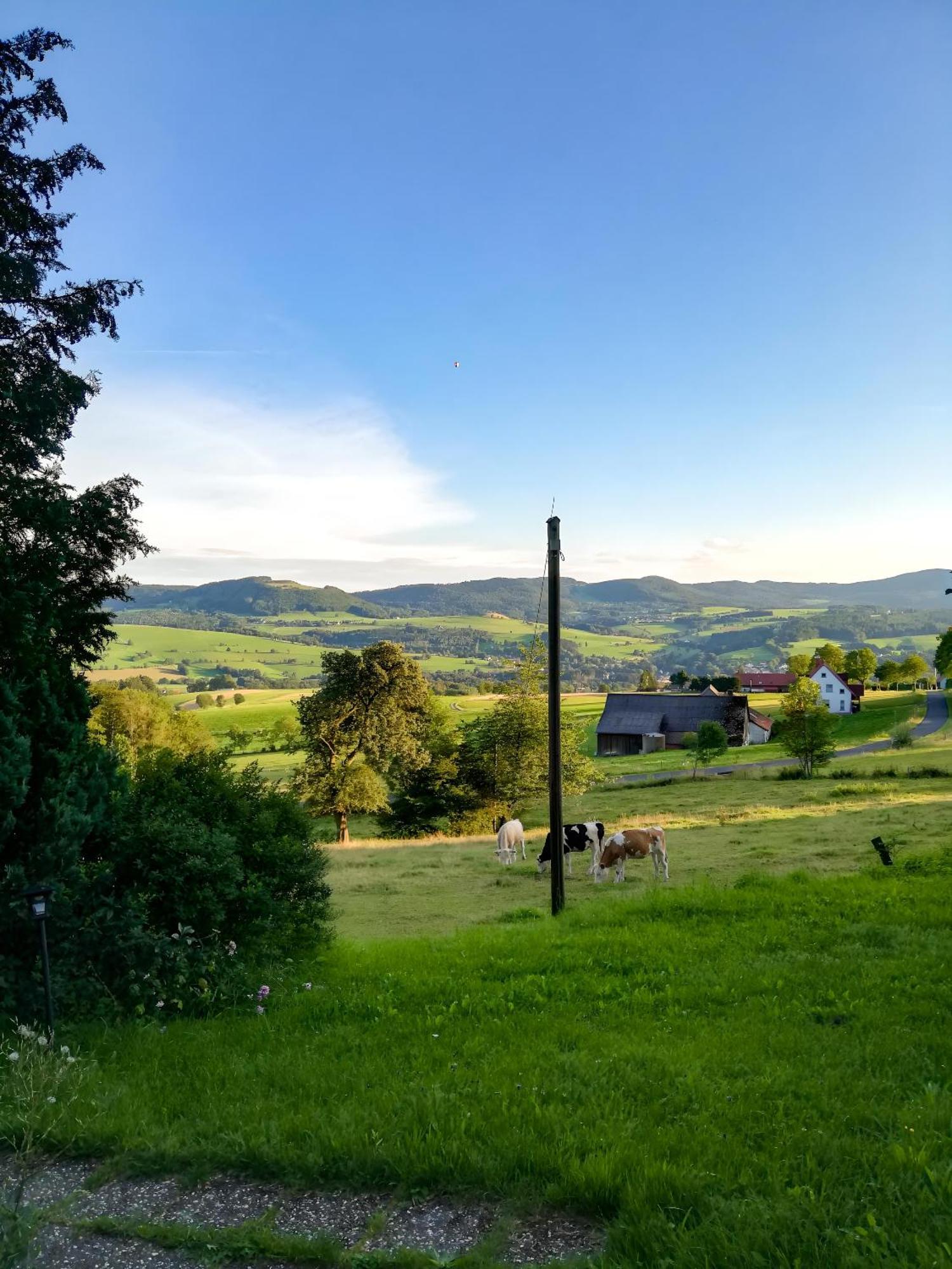 Ferienwohnung Rhoenpanorama Gersfeld Extérieur photo